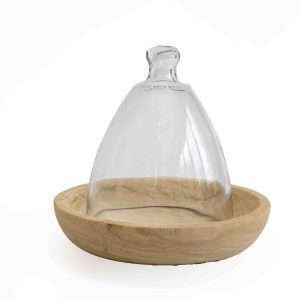 Glass dome & wooden bowl